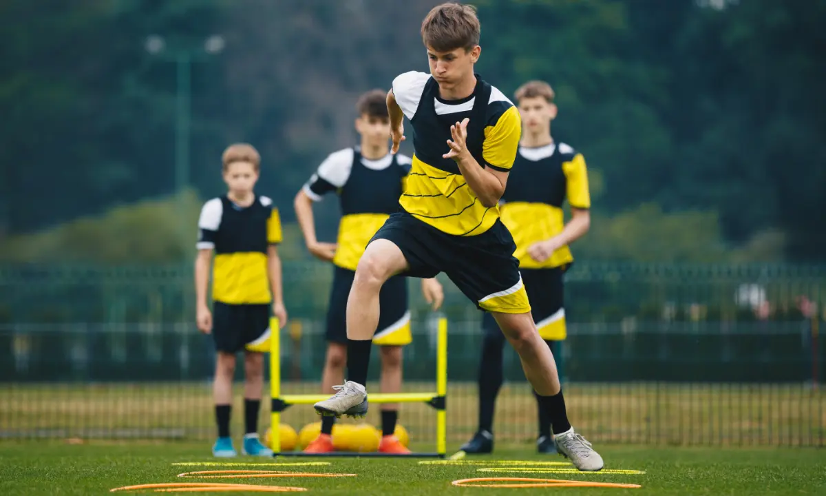 sports club membership renewal